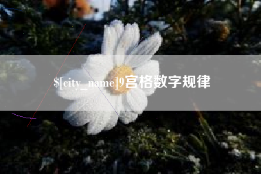 瑞安9宫格数字规律