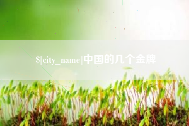 瑞安中国的几个金牌