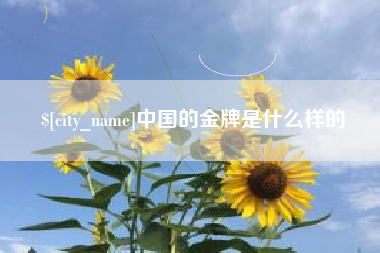 瑞安中国的金牌是什么样的
