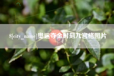 瑞安奥运夺金时刻九宫格图片
