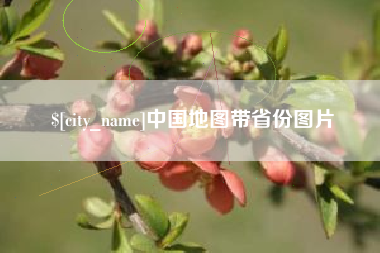瑞安中国地图带省份图片
