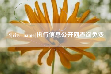瑞安执行信息公开网查询免费