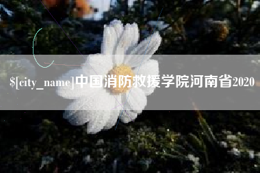 瑞安中国消防救援学院河南省2020